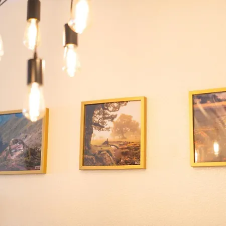 Sun & Roses * Funchal (Madeira)