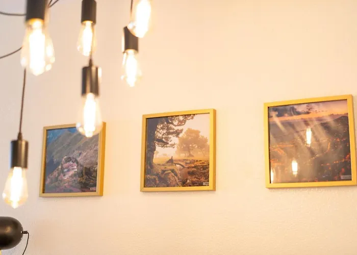 Sun & Roses * Φουνκάλ